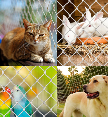 Pets Safety Nets in nagapur