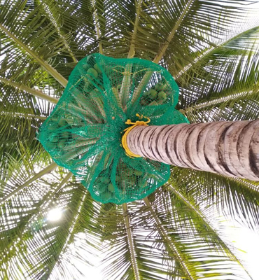 Coconut Safety Nets in nagapur