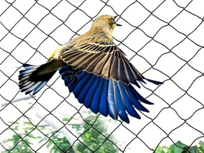 Pigeon Safety Nets in nagapur